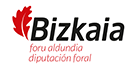 Diputacion Foral de Bizkaia